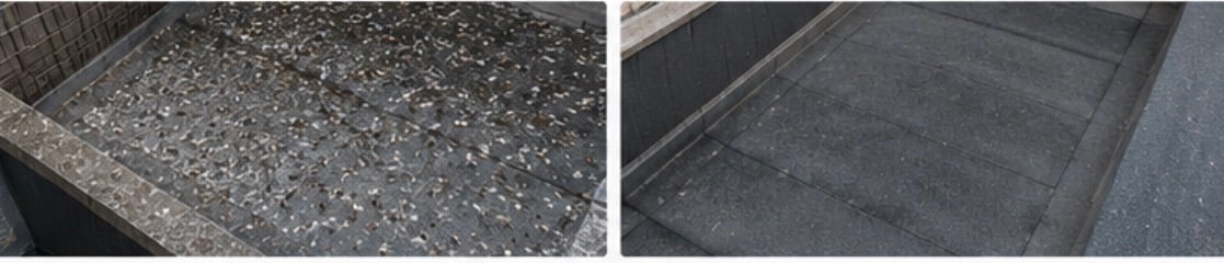 Nettoyage de fientes de pigeons à Lille