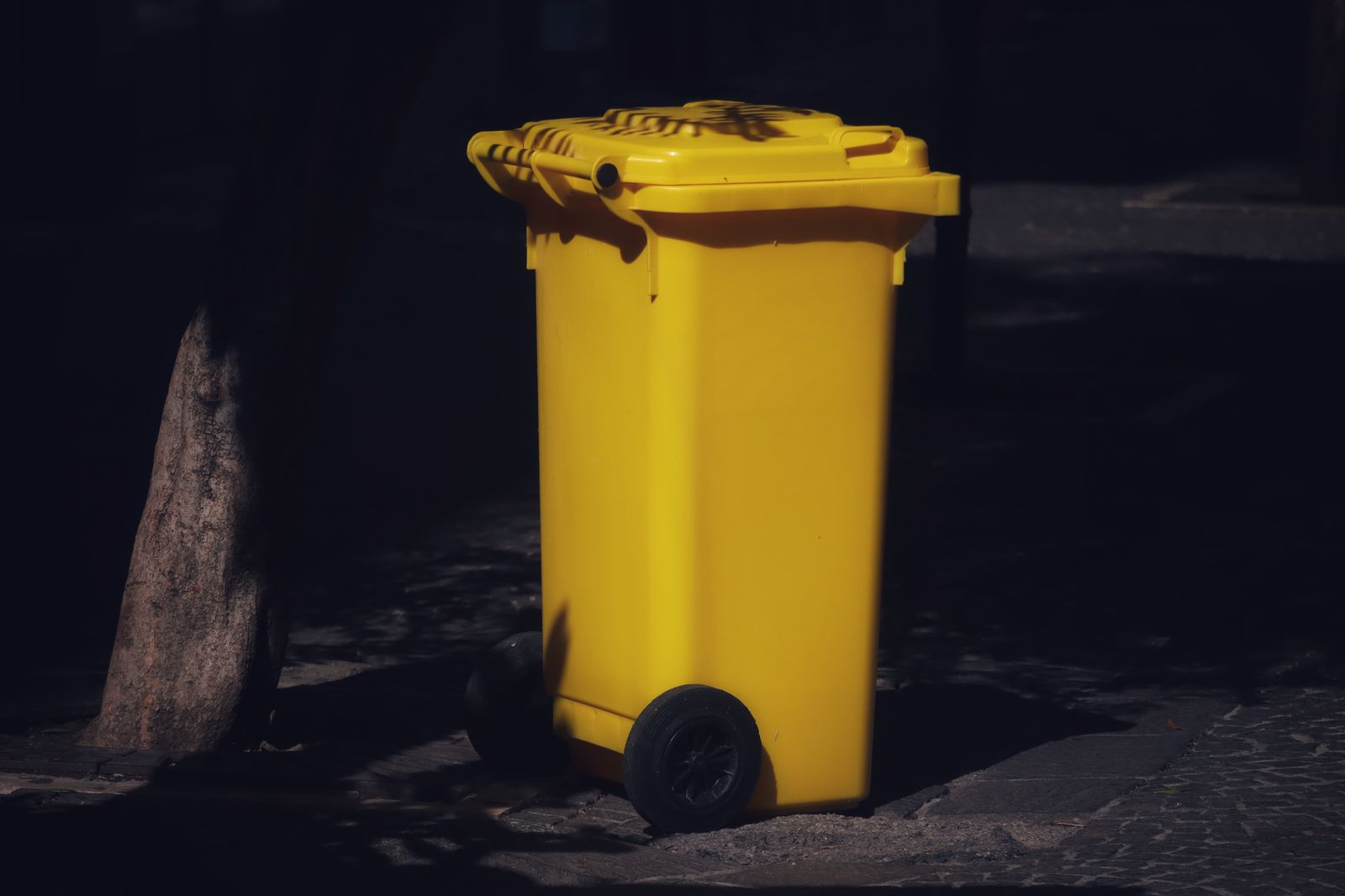 Conteneur à déchets sorti pour la collecte